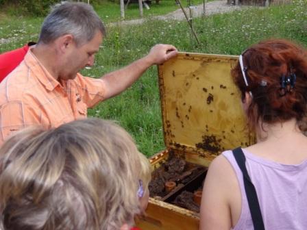 In etwa zwei Stunden am Sonntag, dem 12.August 2012, gewhrte  nicht weit entfernt von unserem Ferienhof-Gstehaus Am Kiefernwald im Ribnitz-Damgartener Ortsteil Borg  Herr Dirk Triphan einen sehr interessanten und vielseitigen Einblick in die Welt der Honigbienen und in seine Berufsimkerei. Foto: Eckart Kreitlow