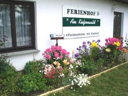 Farbenprächtige Blumenrabatten und Koniferen vor der Zimmervermietung Ferienhof Am Kiefernwald  erfreuen die Sinne. Fotos: Eckart Kreitlow