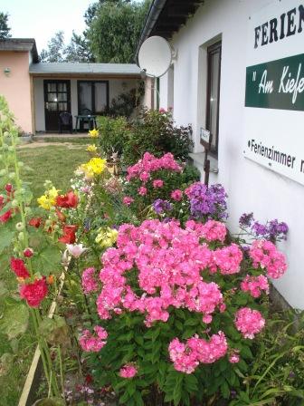 Farbenprächtige Blumenrabatten und Koniferen vor der Zimmervermietung Ferienhof Am Kiefernwald  erfreuen die Sinne. Fotos: Eckart Kreitlow