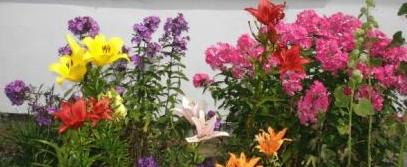 Farbenprchtige Blumenrabatten erfreuen die Sinne. Fotos: Eckart Kreitlow