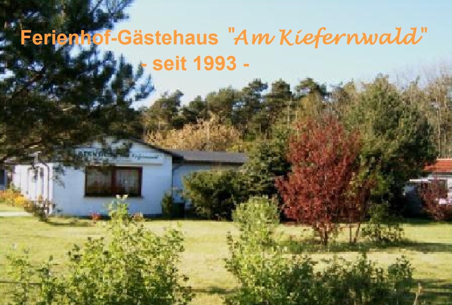 Zimmervermietung Ferienhof Am Kiefernwald seit 1993 - Inhaber: Eckart Kreitlow - Bei den Borger Tannen 6  D - 18311 Ribnitz-Damgarten Telefon + Fax: + 49  03821 4676 mobil:  0173 / 76 136 33  Email: eckartkreitlow@t-online.de